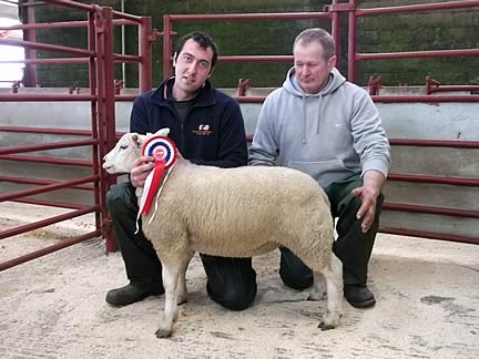 Champion Single Lamb from Robert Brough, Old Rectory with judge Stephen Stoddart